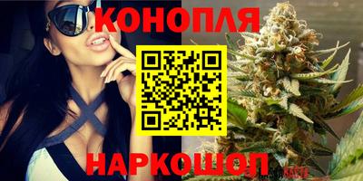 ешки Можга