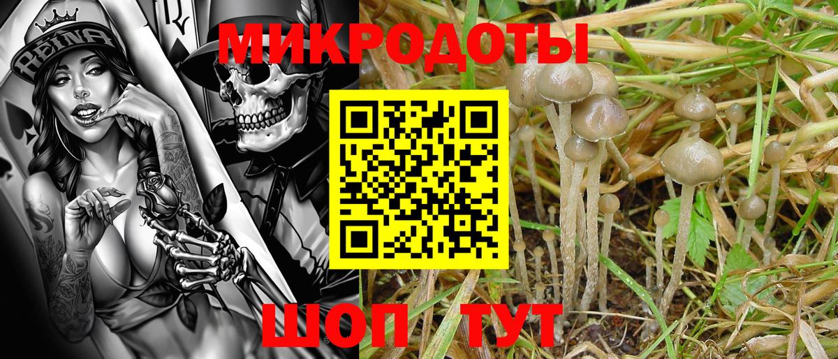 Галлюциногенные грибы Psilocybe  Вход с VPN  Ржев 